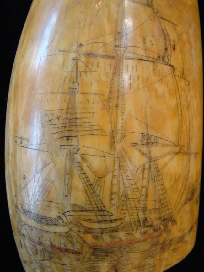 A beautiful 19th century scrimshawed Whale's Tooth circa 1840 — image 3